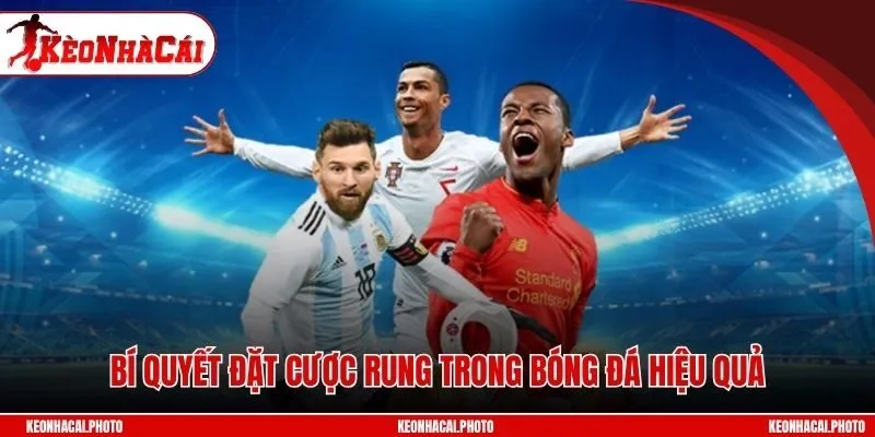 Bí quyết đặt cược rung trong bóng đá hiệu quả