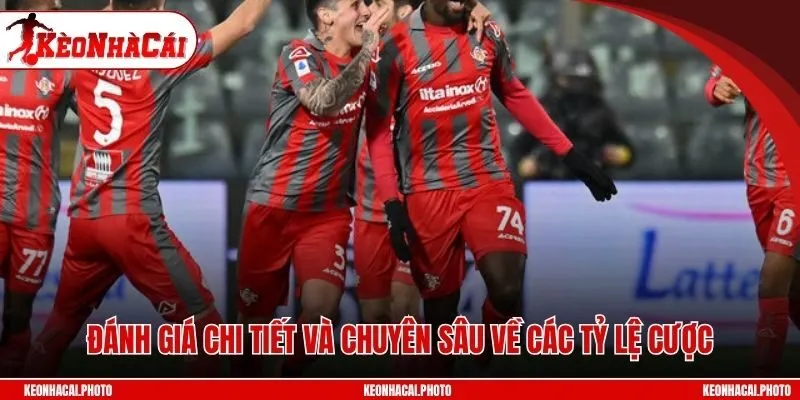 Đánh giá chi tiết và chuyên sâu về các tỷ lệ cược