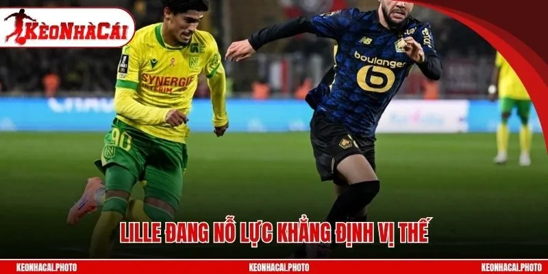 Lille đang nỗ lực khẳng định vị thế