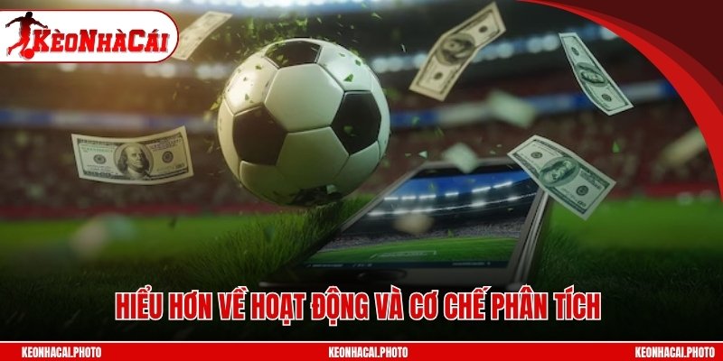Hiểu hơn về hoạt động và cơ chế phân tích
