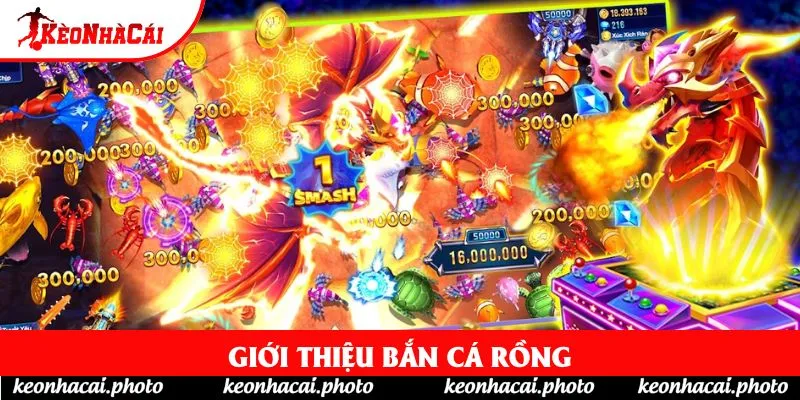 Giới thiệu Bắn Cá Rồng