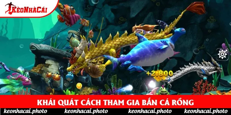 Khái quát cách tham gia Bắn Cá Rồng