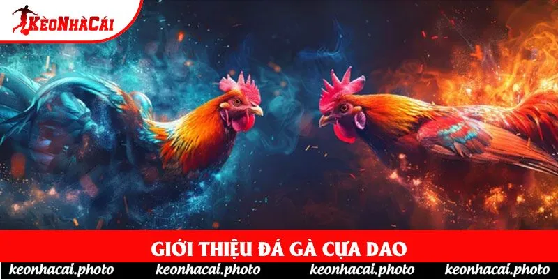 Giới thiệu đá gà cựa dao