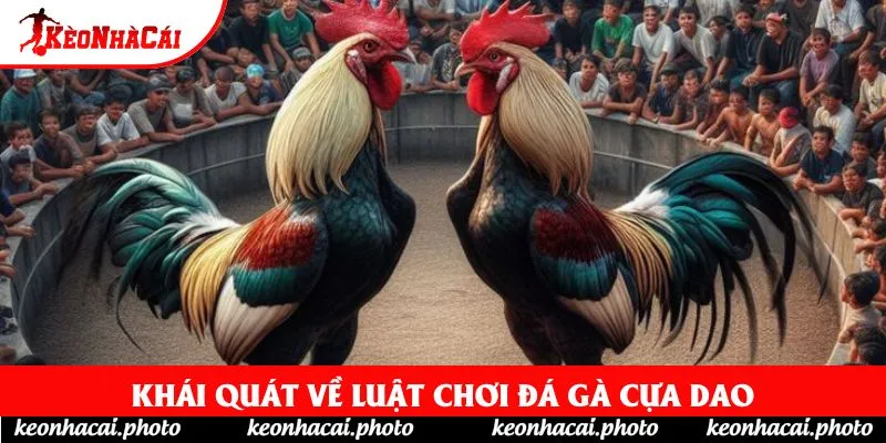 Khái quát về luật chơi đá gà cựa dao