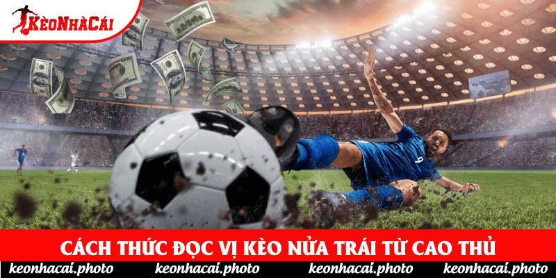 Cách thức đọc vị kèo nửa trái từ cao thủ